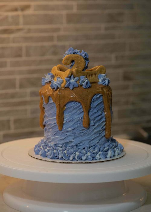 VLS-33-4-1 VLS-33-4-1